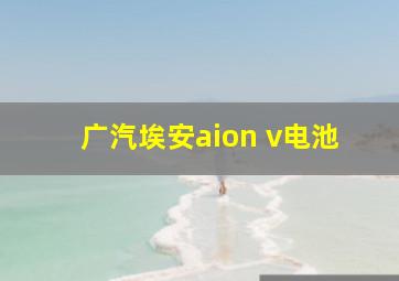 广汽埃安aion v电池